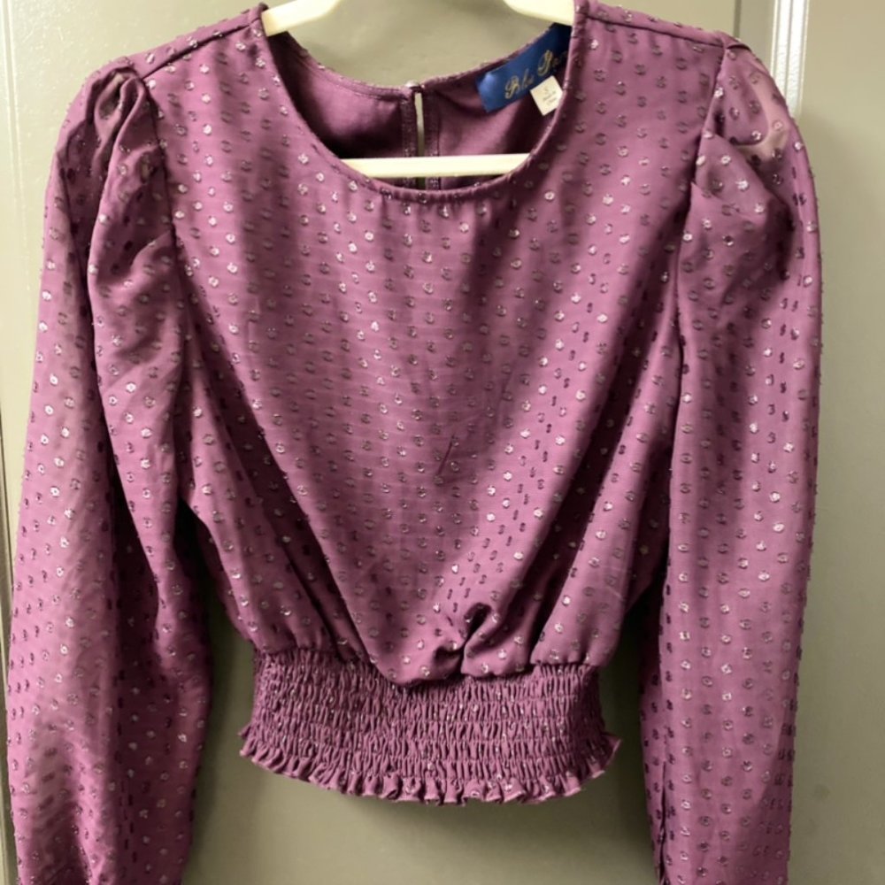 Francesca's Semi Cropped Purple Top